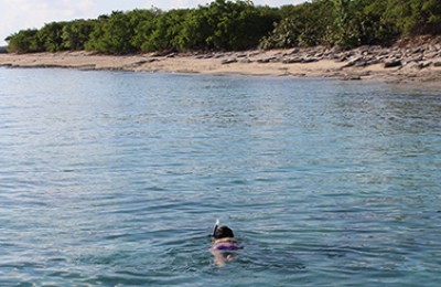 Snorkeling Boat Charter