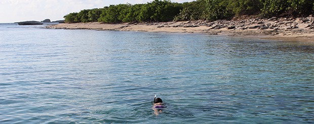 Snorkeling Boat Charter