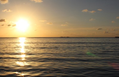 Snorkeling Boat Charter