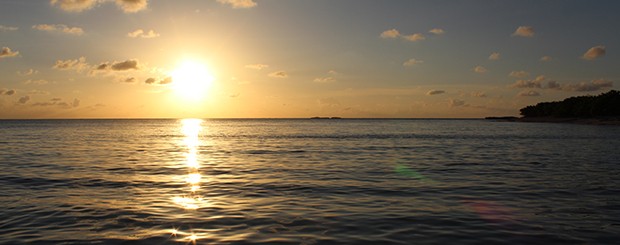 Snorkeling Boat Charter