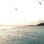 Snorkeling Boat Charter