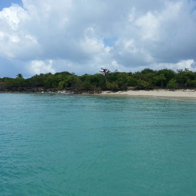 Snorkeling Boat Charter