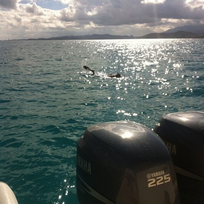 Snorkeling Boat Charter