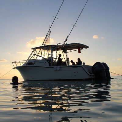 Snorkeling Boat Charter