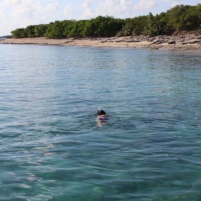Snorkeling Boat Charter