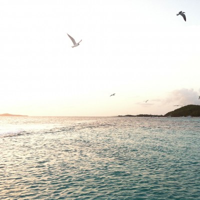 Snorkeling Boat Charter